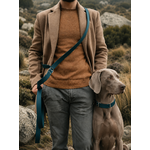 ENSEMBLE BIOTHANE STYLIDOG CHIEN