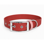 ENSEMBLE BIOTHANE CHIEN STYLIDOG