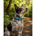 ENSEMBLE BIOTHANE CHIEN STYLIDOG