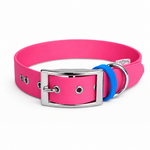 Ensemble stylidog biothane chien