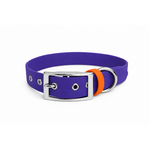 Ensemble stylidog biothane chien