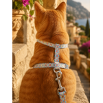 Stylicat - accessoires pour chat_20260804_095332_0015