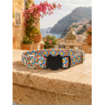 Stylicat - accessoires pour chat_20260804_095333_0019