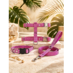 Stylicat - accessoires pour chat_20260804_095333_0022