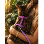 Stylicat - accessoires pour chat_20260804_095333_0023