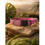 Stylicat - accessoires pour chat_20260804_095333_0026