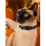 stylicat accessoire pour chat