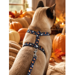 stylicat accessoire pour chat