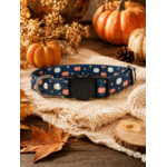 stylicat accessoire pour chat