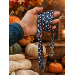stylicat accessoire pour chat