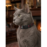 Stylicat - accessoires pour chat_20260804_095332_0007