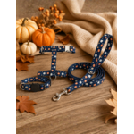 Stylicat - accessoires pour chat_20260804_095331_0006