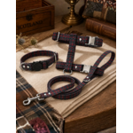 Stylicat - accessoires pour chat_20260804_095332_0011