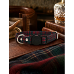 Stylicat - accessoires pour chat_20260804_095332_0012