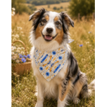 accessoire champêtre pour chien stylidog