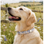accessoire champêtre pour chien stylidog