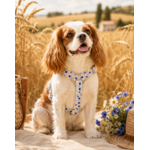 accessoire champêtre pour chien stylidog