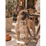 accessoire biothane beige pour chien