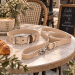 accessoire biothane beige pour chien
