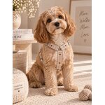 ACCESSOIRES POUR CHIEN STYLIDOG MOTIF LATTE CLUB