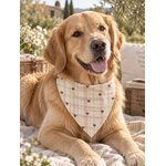 ACCESSOIRES POUR CHIEN STYLIDOG MOTIF LATTE CLUB