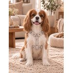 ACCESSOIRES POUR CHIEN STYLIDOG MOTIF LATTE CLUB