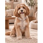 ACCESSOIRES POUR CHIEN STYLIDOG MOTIF LATTE CLUB