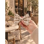 ACCESSOIRES POUR CHIEN STYLIDOG MOTIF LATTE CLUB