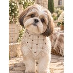 ACCESSOIRES POUR CHIEN STYLIDOG MOTIF LATTE CLUB