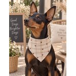 ACCESSOIRES POUR CHIEN STYLIDOG MOTIF LATTE CLUB