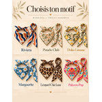 coffret assorti chien humain stylidog