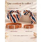 coffret assorti chien humain stylidog