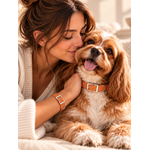 coffret assorti chien humain stylidog
