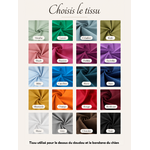 coffret anniversaire chien stylidog
