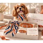 coffret assorti chien humain stylidog