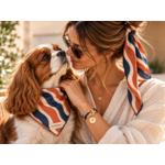 coffret assorti chien humain stylidog