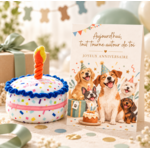 coffret anniversaire chien stylidog