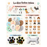 coffret anniversaire chien stylidog
