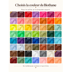 coffret assorti chien humain stylidog