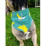 bandana banana~2