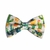 noeud papillon chien cactus