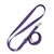 Laisse biothane violet foncé
