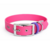 collier biothane pour chien Stylidog _20260331_151800_0000