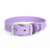 collier biothane pour chien Stylidog _20260331_151801_0007