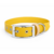 collier biothane pour chien Stylidog _20260331_151801_0011