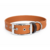 collier biothane pour chien Stylidog _20260331_151801_0016