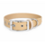 collier biothane pour chien Stylidog _20260331_151801_0020