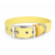 collier biothane pour chien Stylidog _20260331_151801_0019