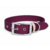 collier biothane pour chien Stylidog _20260331_151801_0025