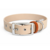 collier biothane pour chien Stylidog _20260331_151800_0003